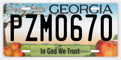 GA license plate PZM0670