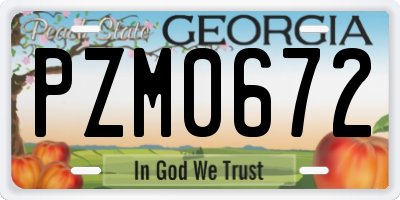 GA license plate PZM0672