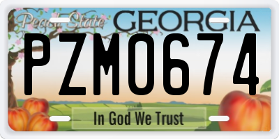 GA license plate PZM0674