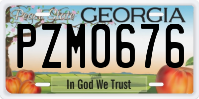 GA license plate PZM0676