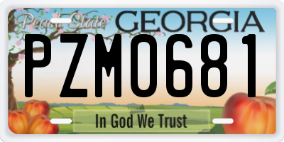 GA license plate PZM0681
