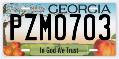 GA license plate PZM0703