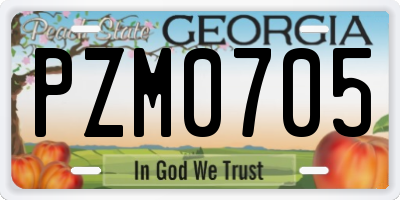 GA license plate PZM0705