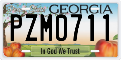 GA license plate PZM0711