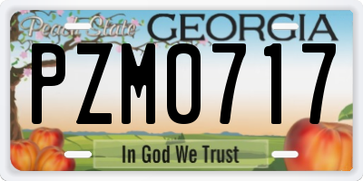 GA license plate PZM0717