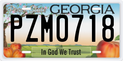 GA license plate PZM0718