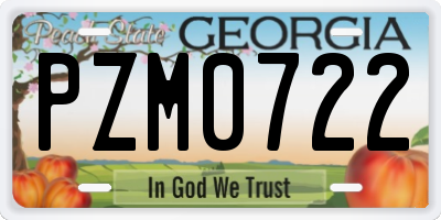 GA license plate PZM0722