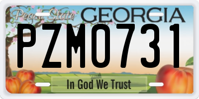 GA license plate PZM0731
