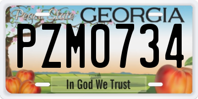 GA license plate PZM0734