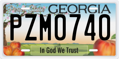 GA license plate PZM0740