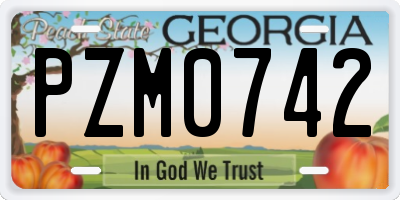 GA license plate PZM0742