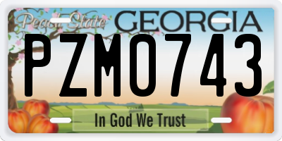 GA license plate PZM0743