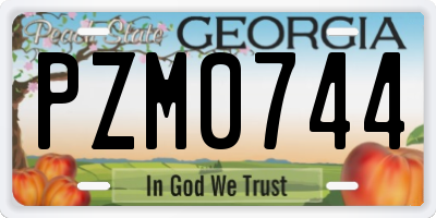 GA license plate PZM0744