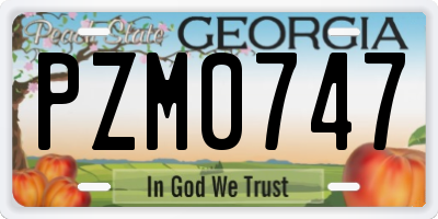 GA license plate PZM0747