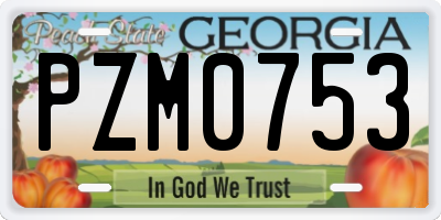 GA license plate PZM0753