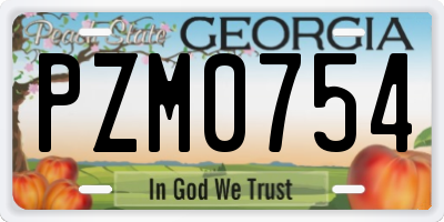 GA license plate PZM0754
