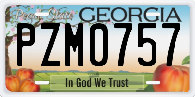 GA license plate PZM0757