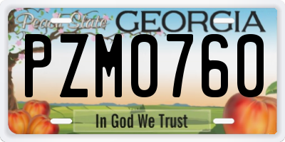 GA license plate PZM0760