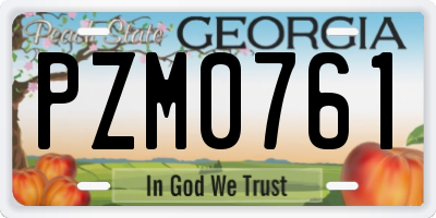 GA license plate PZM0761