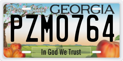 GA license plate PZM0764