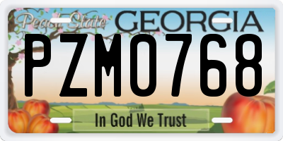 GA license plate PZM0768
