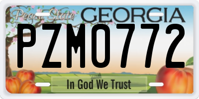 GA license plate PZM0772