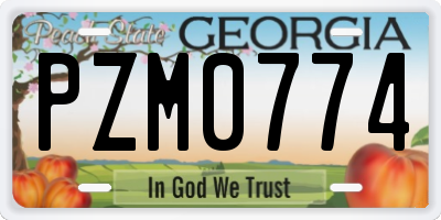 GA license plate PZM0774