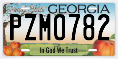 GA license plate PZM0782