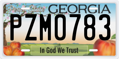 GA license plate PZM0783