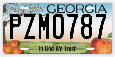 GA license plate PZM0787