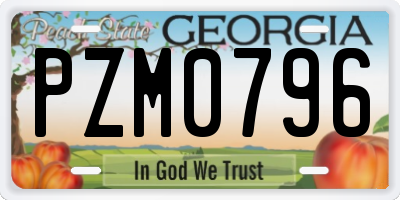 GA license plate PZM0796