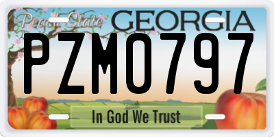 GA license plate PZM0797