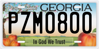 GA license plate PZM0800