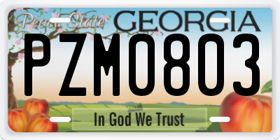 GA license plate PZM0803