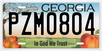 GA license plate PZM0804