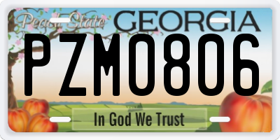 GA license plate PZM0806