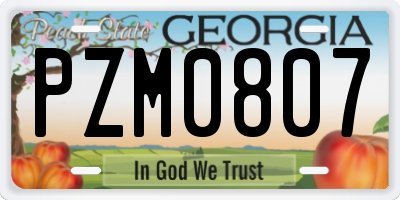 GA license plate PZM0807