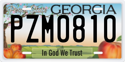 GA license plate PZM0810
