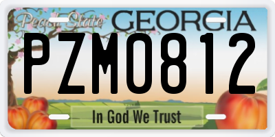 GA license plate PZM0812