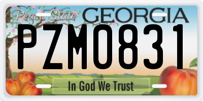 GA license plate PZM0831
