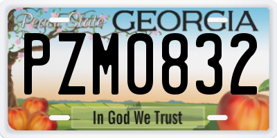 GA license plate PZM0832