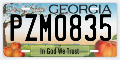 GA license plate PZM0835