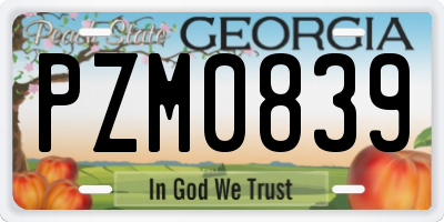 GA license plate PZM0839
