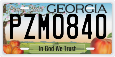 GA license plate PZM0840