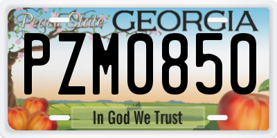 GA license plate PZM0850