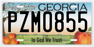 GA license plate PZM0855