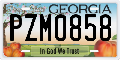 GA license plate PZM0858