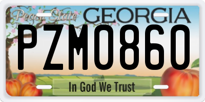 GA license plate PZM0860