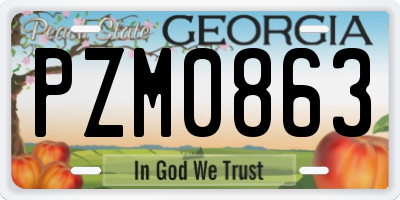 GA license plate PZM0863