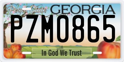 GA license plate PZM0865
